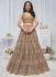 Brown Net Festival Wear Embroidery Work Lehenga Choli KF04B